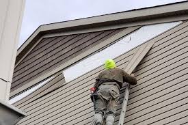 Best Custom Siding Design  in Mcdade, TX